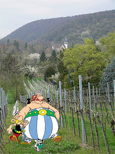 Asterix und Obelix im Rohrbacher Feld