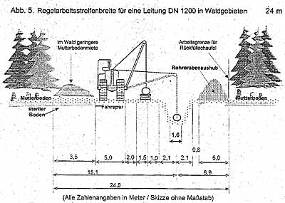 Gasleitung im Wald