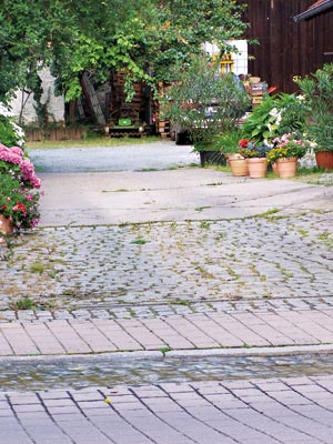 Bachlauf in der Pfalz